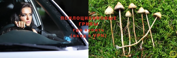 мдма Белокуриха