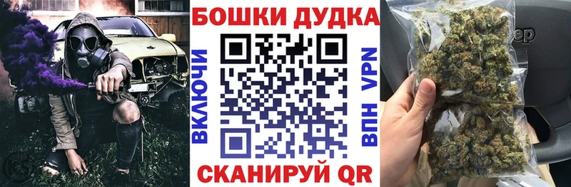 Бошки Шишки планчик  Вельск 